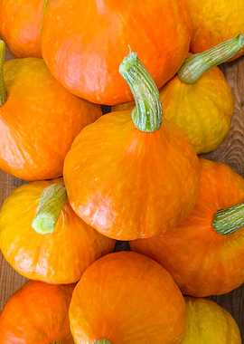 Fresh Orange Autumn Pumpkins on Wood