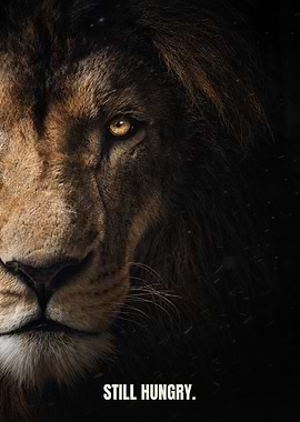 Still Hungry - Lion in the Dark