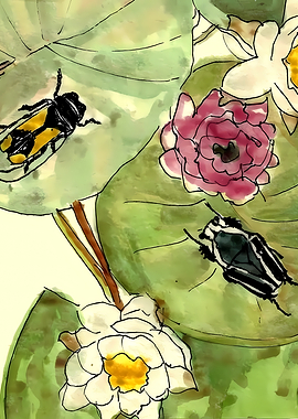 Beetles on Water Lilies