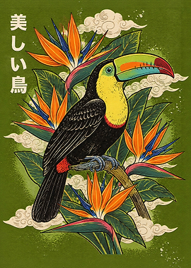 Toucan and Bird of Paradise Illustration