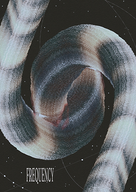 Abstract Frequency Spiral Art
