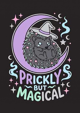 Prickly But Magical Hedgehog Illustration