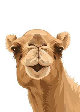 Close-up Portrait of a Camel