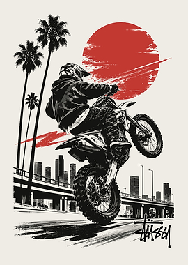 Stussy Motocross Wheelie Urban Graphic