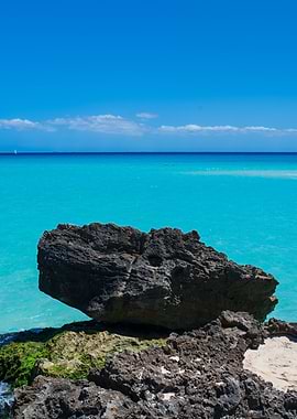 Tropical Rocky Shoreline