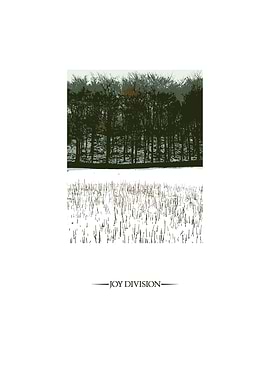 Joy Division