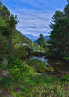 Alpine Pond and Mountain View - Champex-Lac