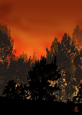 Fiery Sunset Forest Silhouette