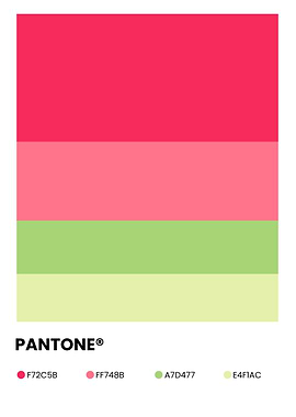 Pantone Color Palette Swatch