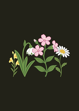 Flowers · Nature · Illustration