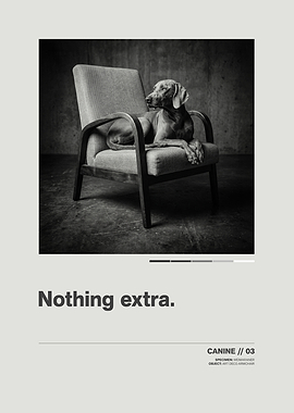 Weimaraner on Art Deco Armchair // Minimalist Swiss-Style Poster