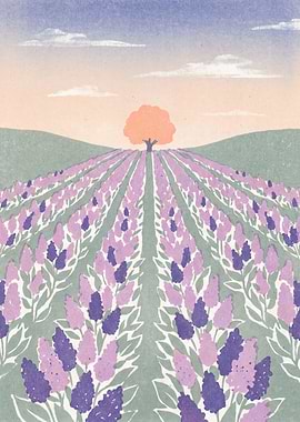 Lavender Ridge