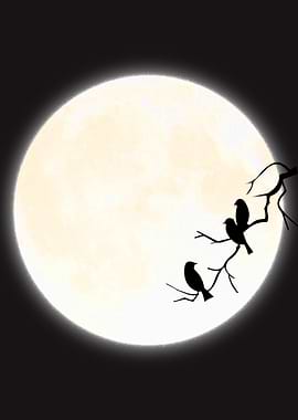 Three Birds Perched on Moonlit Branch