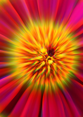 Vibrant Abstract Floral Radial Burst