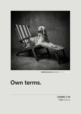 Afghan Hound on Steamer Chair // Minimalist Swiss-Style Poster