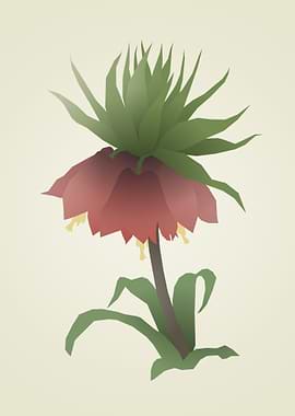 Minimalist Crown Imperial Flower Illustration
