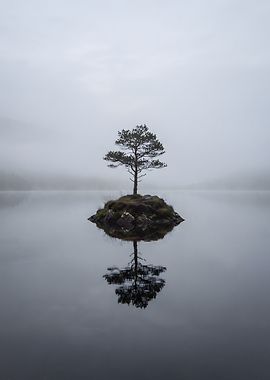 Lonely Tree on Misty Island