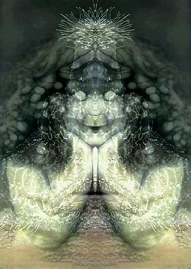 Cnidarian Effect 1