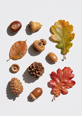 Autumn Forest Treasures Collection