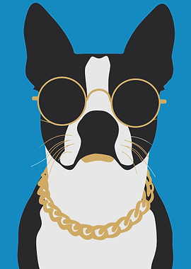 Cool Boston Terrier with Gold Chain