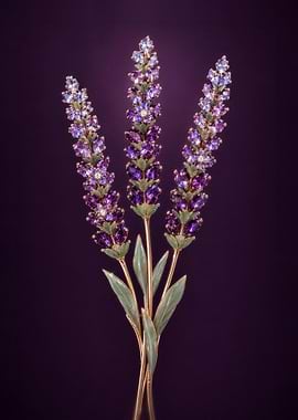 Lavender Gemstone Flower