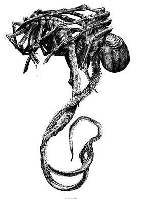 David Sketches-preview-1