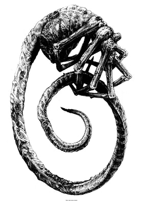 David Sketches-preview-0