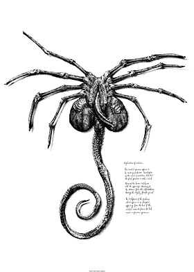 David Sketches-preview-2