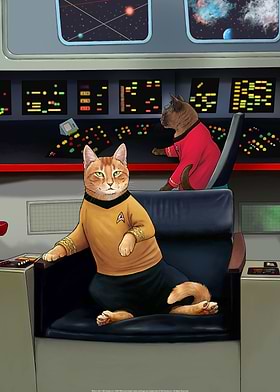 Star Trek Cats-preview-3