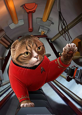Star Trek Cats-preview-0