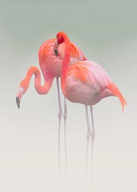 Valentines-preview-1