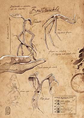 Field Notes-preview-1