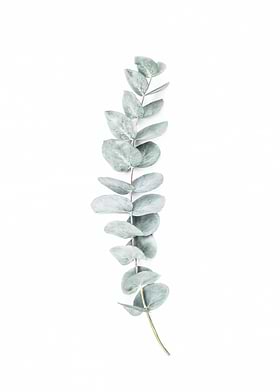 Kathrin Pienaar-preview-3