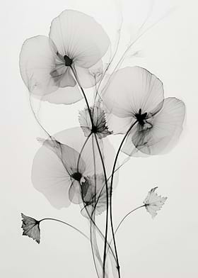 Transparent Botanic-preview-3