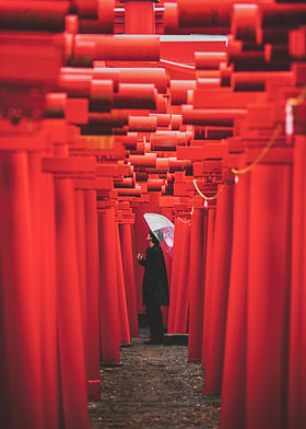 Travel Diaries-preview-3