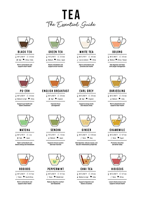 Symbol Guide-preview-0