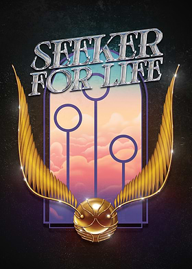Hogwarts Seekers Collection
