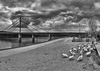 Autumn on the Danube river