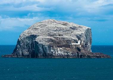 Bass Rock - Berwick