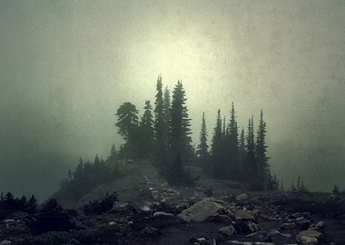 ' lost island ' film photography