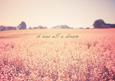 Early morning photography of a field of rapeseed. It w ...