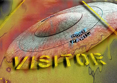 visitor parking? Does that include unidentified flying ...