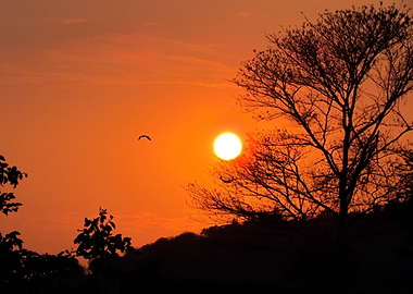 This moment was captured during one of my Pashan lake v ...