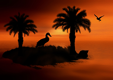 Duck on the Palm Island