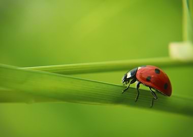 ...there she was, oblivious to everything but her missi ...