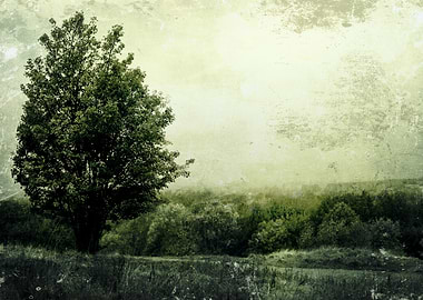 A lone tree in a textured green landscape