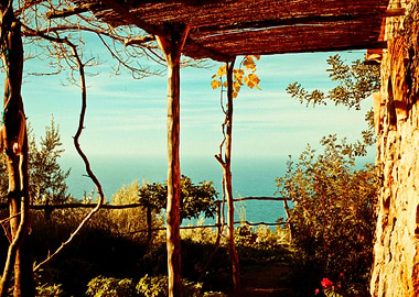 A piece of paradise in Mallorca, Spain.