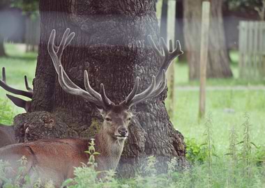 J'ai cru que j'allais jamais les trouver, puis d'un cou ...