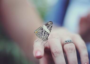 How wonderful is it that in central London you can stil ...