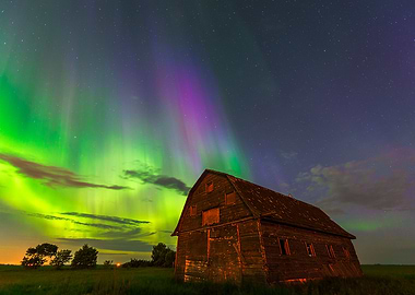Aurora borealis over abandoned barn in mosquito infeste ...